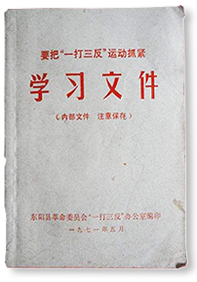 “一打三反”系列文件